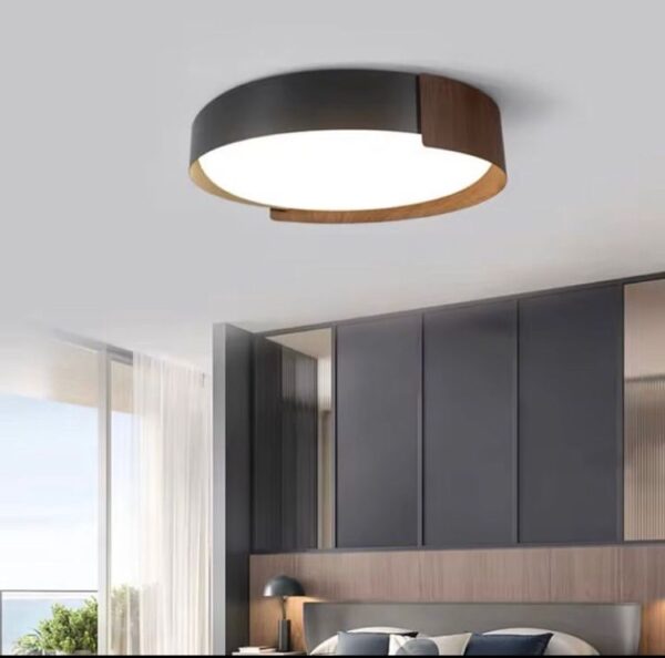 Ceiling lights