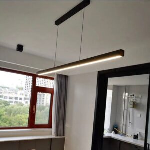 Liner light